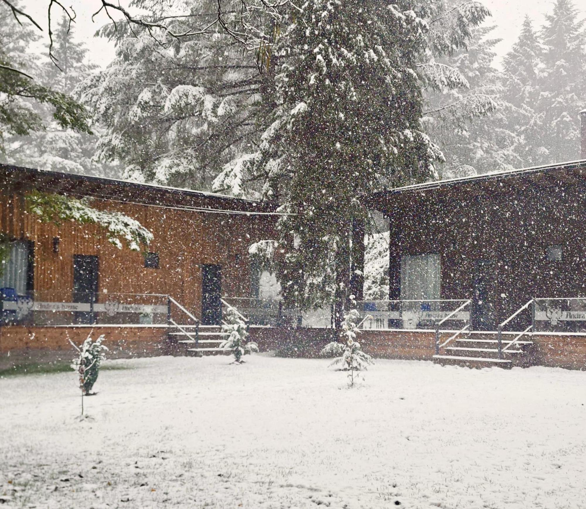 Pension Andra'S House Horezu Exterior foto